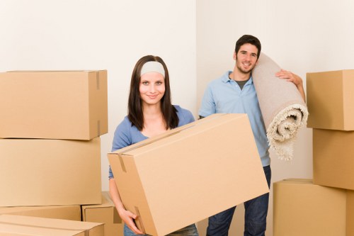 Packing and moving boxes with a removal van in South London
